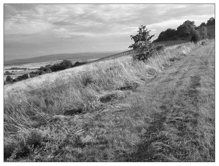 Hill walk*