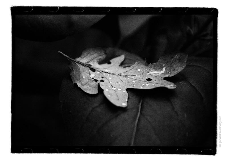 All those moments will be lost in time... like tears in rain.*