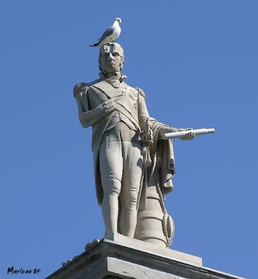 Nelson0034a.jpg
