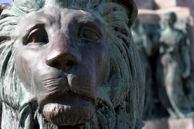Lion25_0040.jpg