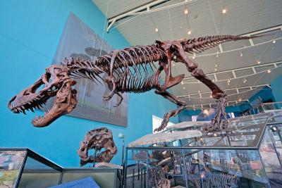 Maryland Science Center