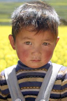 Face of Tibet
