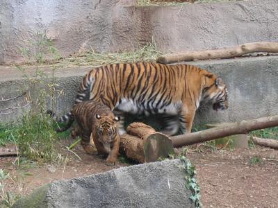 IMG_5641EC.jpg