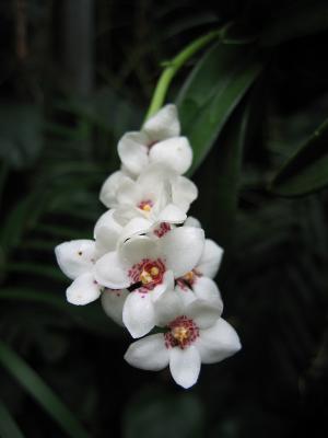 IMG_5679EC.jpg