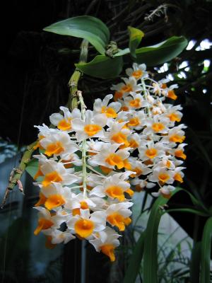 IMG_5680EC.jpg