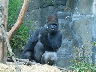 IMG_5704EC.jpg