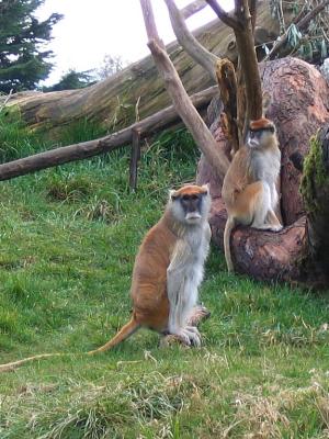 IMG_5712EC.jpg