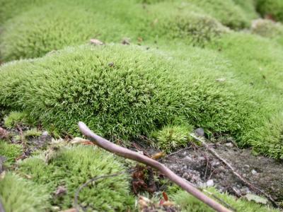 HM_May04_0014.jpg