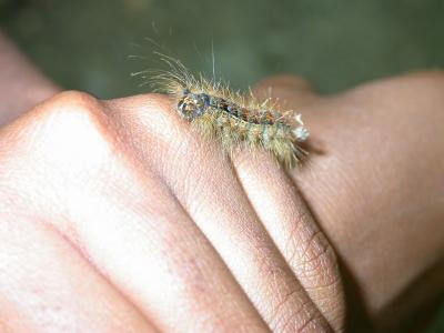 HM_May04_0068.jpg