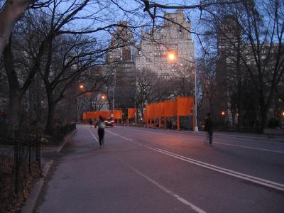 c46.jpg
