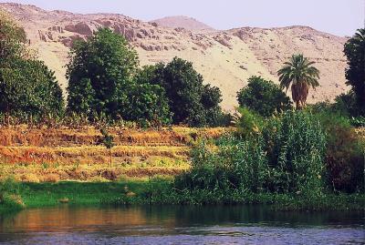 Sur le Nil prs d'Assouan
