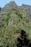 Paysage de montagne
