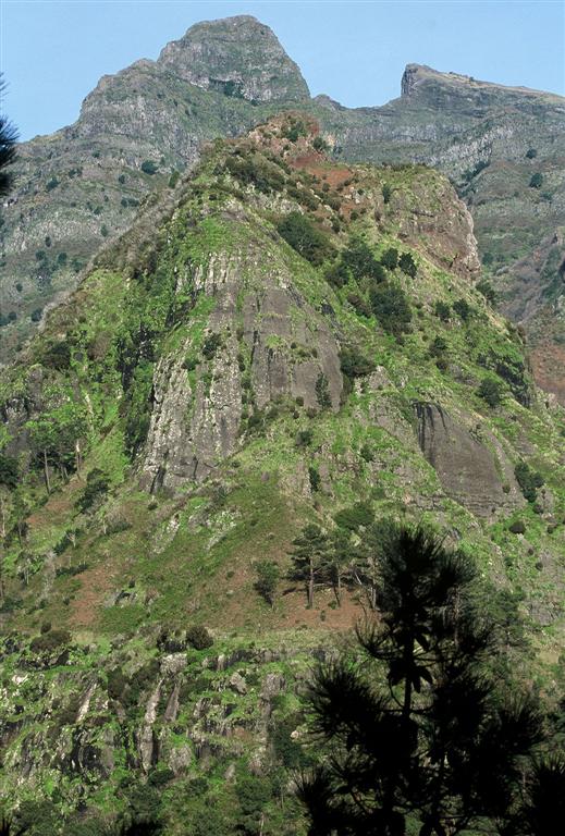 Paysage de montagne