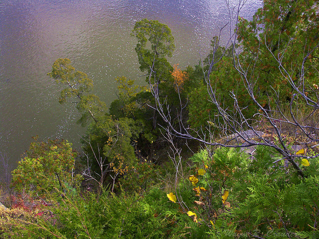 Looking Straight Down.jpg