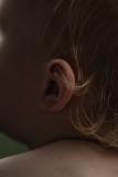 DSCF2798_1_ear.jpg
