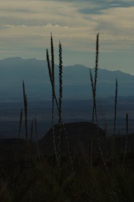 BBNP004.jpg