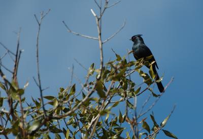 BBNP014.jpg