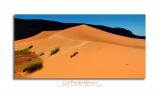 Coral Pink Sand Dunes-3