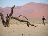 Sossusvlei Dead Trees Namibia