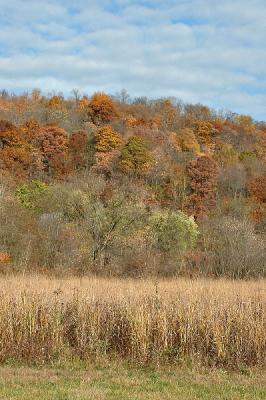 Fall Bike Trail '04