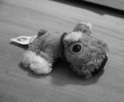 The Dog_filtered