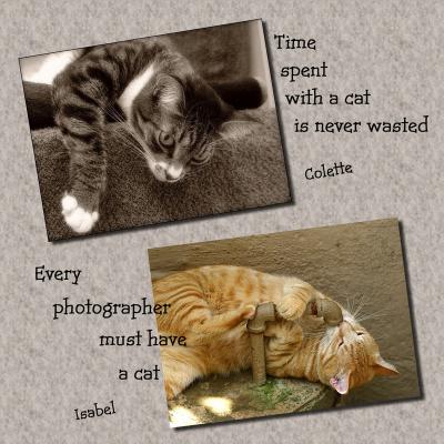 u46/digipets/medium/33854391.ScrapbookPageElements.jpg