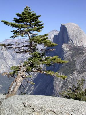 Yosemite National Park, California  2003