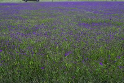 040528_J0Z2013.jpg