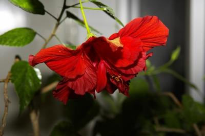 040528_J0Z2106.jpg
