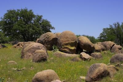 040531_J0Z2630.jpg