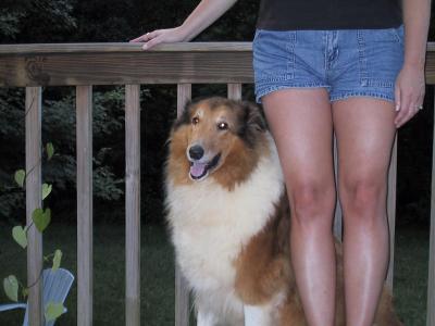 Deck - Nancy  Collies 03.JPG