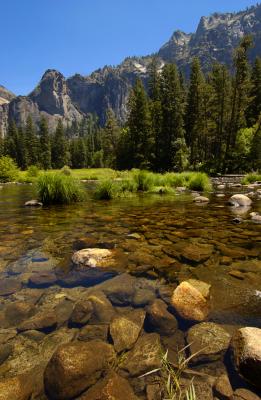 Yosemite 3.jpg