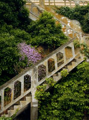 Staircase .jpg