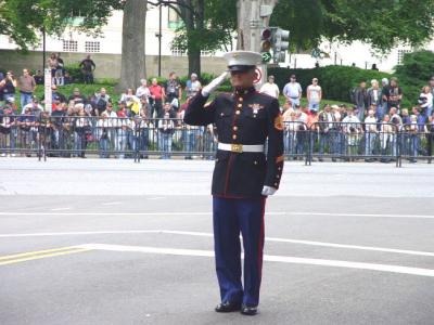 Soldier standing facing parade.....