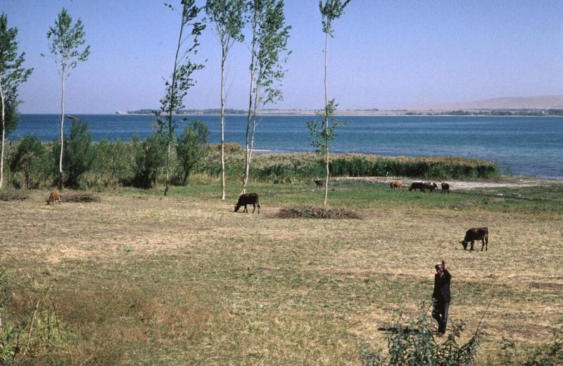 Van to Akdamar