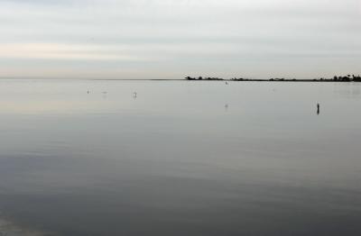 Salton Sea 1.JPG