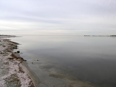 Salton Sea 2.JPG