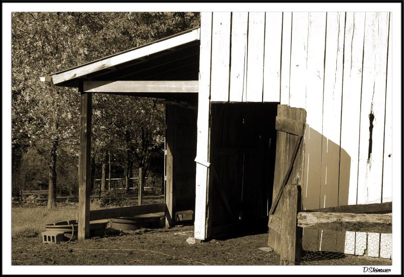 Sheep Shelter and Barn