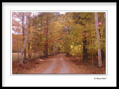 Country-Road.jpg