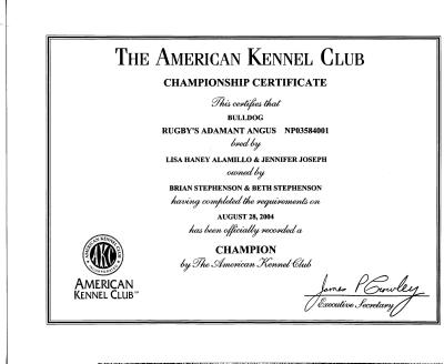 Champion Certificate034.jpg