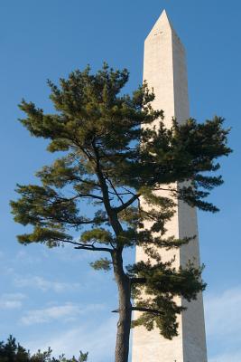 Washington monument 0812.jpg