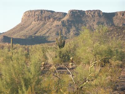 Quartzsite, Arizona