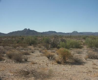 Buckeye Hills, Arizona