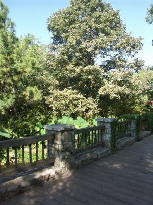 Dallas Arboretum - Paseo de Flores