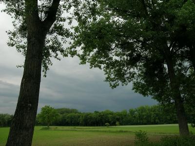 Avant l'orage