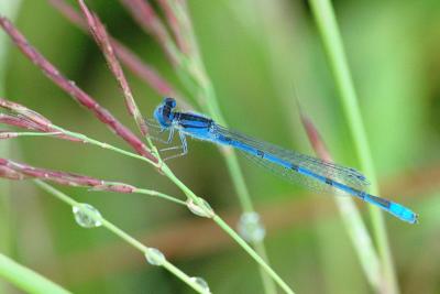 u46/ed_k/medium/33887644.16_DSC_7972.jpg