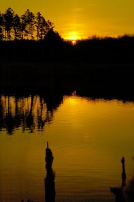 2/10/05 - Golden Pond