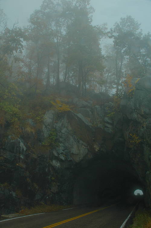 10/20/04 - Misty/Rainy Fall Colors