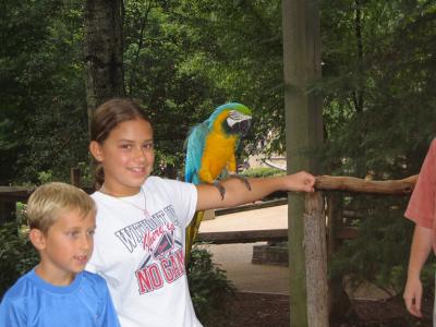 Busch Gardens Williamsburg, VA