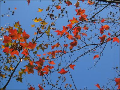 IMG_3360A.jpg